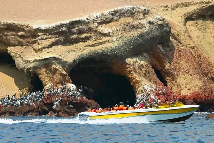 Tour boat full of people passing by a rocky coastal cave with birds.